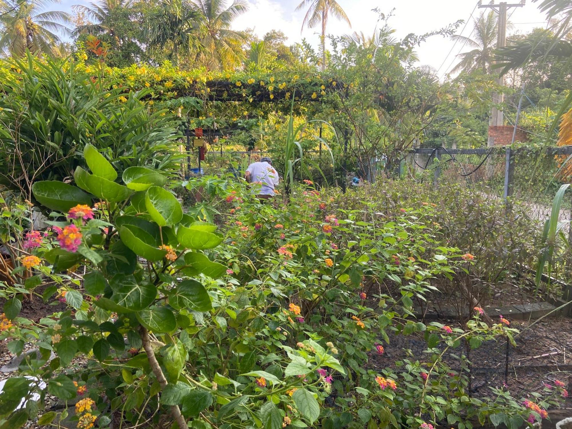 Lana Land Homestay دونغ دونغ المظهر الخارجي الصورة