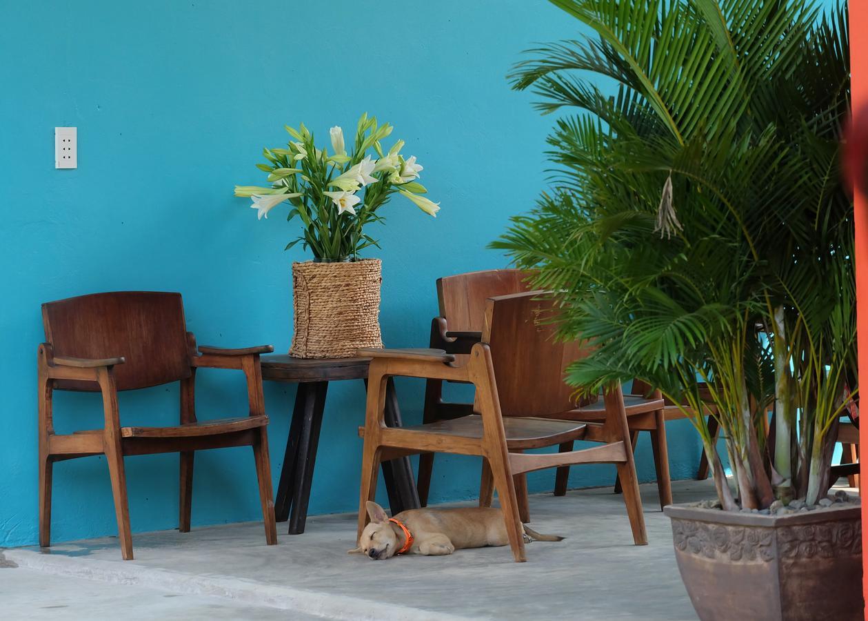 Lana Land Homestay دونغ دونغ المظهر الخارجي الصورة