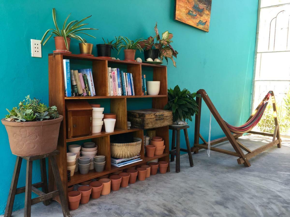 Lana Land Homestay دونغ دونغ المظهر الخارجي الصورة