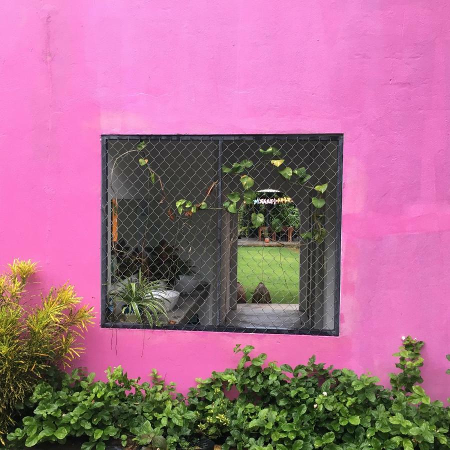 Lana Land Homestay دونغ دونغ المظهر الخارجي الصورة