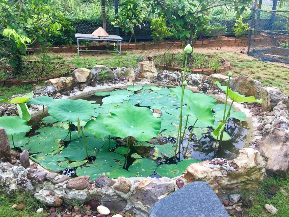 Lana Land Homestay دونغ دونغ المظهر الخارجي الصورة